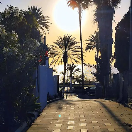 Veracruz , Playa Américas Costa Adeje (Tenerife)
